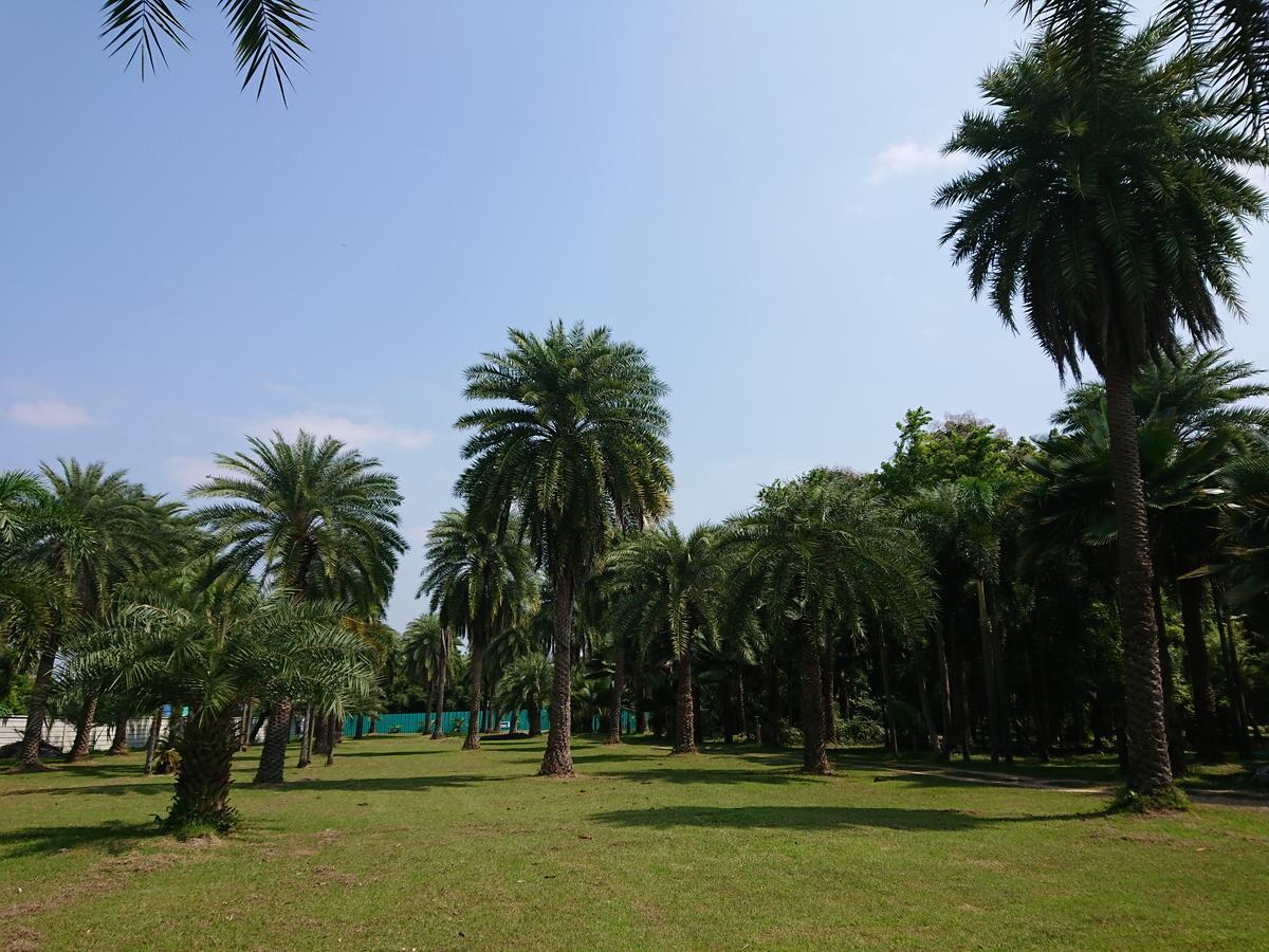 Lopburi Palm Resort Екстер'єр фото
