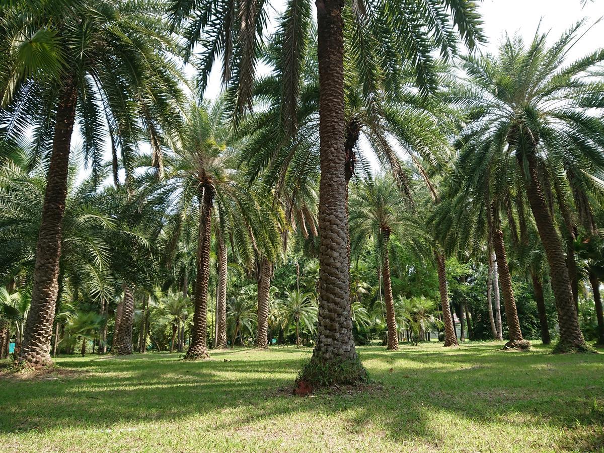 Lopburi Palm Resort Екстер'єр фото